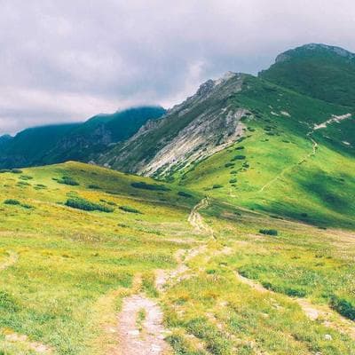 Founder of the company